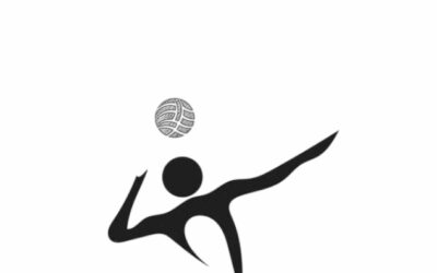 Erweitere unser Volleyballteam